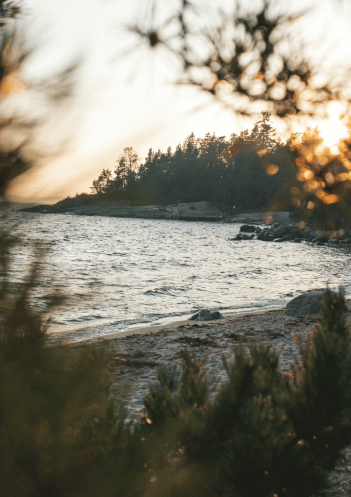 Designlinie Vancouver: Landschaftsbild von Vancouver, Meer und Sträucher.